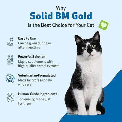 Pet Wellbeing BM Tone-Up Gold for Dogs &amp; Cats - Supports Healthy Digestive Function, Solid Stools, Normal Bowel Movements, Bayberry - Veterinarian-Formulated Herbal Supplement 4 oz (118 ml)