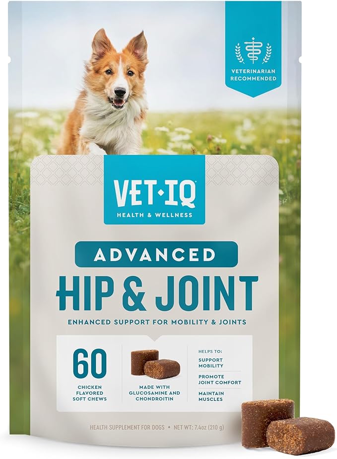 VetIQ Advanced Hip &amp; Joint Chews For Dogs, 60 Count, Chicken Flavored Supplements Made with Glucosamine, Omega 3’s, Chondroitin, MSM &amp; Green Lipped Mussel, Increases Mobility &amp; Maintains Muscles