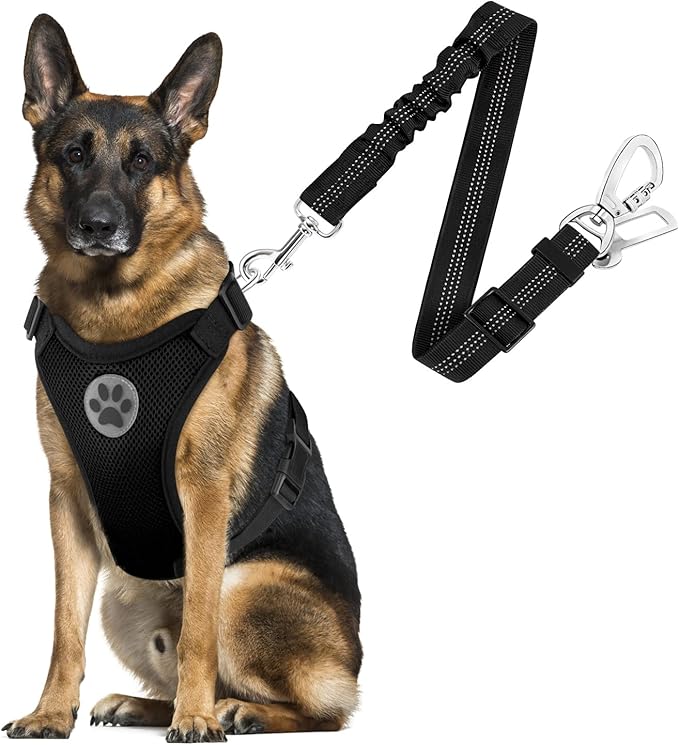 SlowTon Dog Seat Belt Harness for Car, Dog Car Harness Adjustable Mesh Breathable &amp; Dog Seatbelt Safety Tether with Elastic Bungee for Small Medium Large Pets(Black, Double Clip, L)