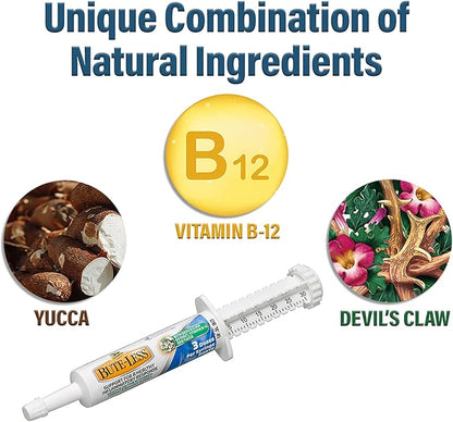 Absorbine Bute-Less Long-Term Horse Comfort &amp; Recovery Supplement Paste, Gentle on Stomach, Devil’s Claw, Vitamin B-12, Yucca, 1oz Syringe / 3 Doses