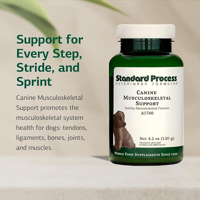 Standard Process Canine Musculoskeletal Support - Bone &amp; Joint Health Formula for Pets - Canine Musculoskeletal Support Supplement - Supplement for Dogs to Aid Joint Comfort &amp; Muscle Health - 120 g
