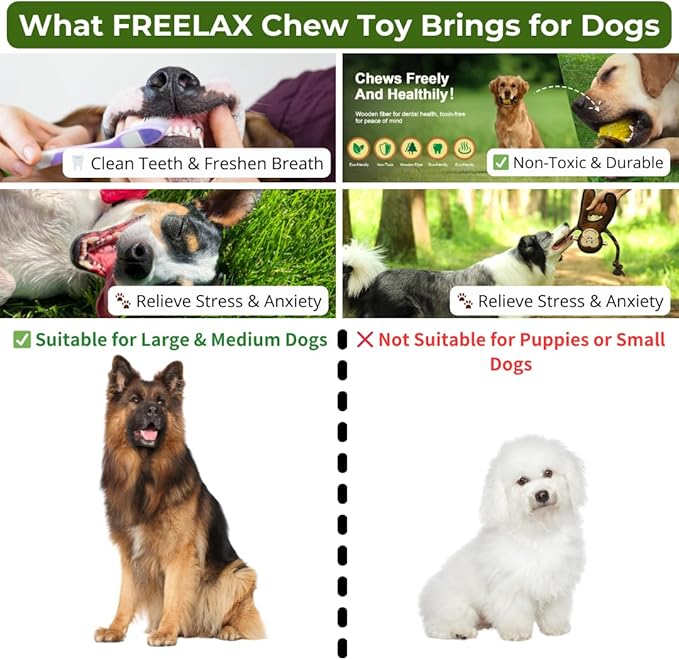 Durable Dog Chew Toys Gift Box – Eco-Friendly Teething Toys for Aggressive Chewers, Plush &amp; Squeaky Toys, Toothbrush, Ideal Gift Basket for Medium &amp; Large Dogs