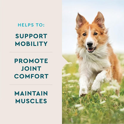 VetIQ Advanced Hip &amp; Joint Chews For Dogs, 60 Count, Chicken Flavored Supplements Made with Glucosamine, Omega 3’s, Chondroitin, MSM &amp; Green Lipped Mussel, Increases Mobility &amp; Maintains Muscles