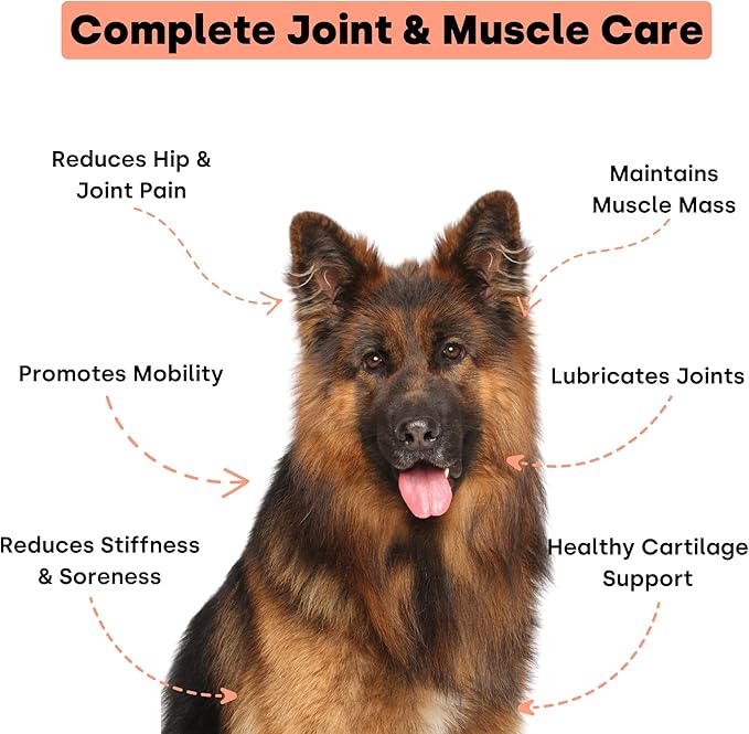 Joint &amp; Recovery | 2-in-1 Joint &amp; Muscle Chews. Help Reduce Pain &amp; Increase Daily Activity. Helps with Arthritis and Pain Prevention. Tasty Trout Flavor.