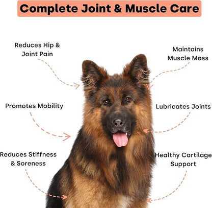 Joint &amp; Recovery | 2-in-1 Joint &amp; Muscle Chews. Help Reduce Pain &amp; Increase Daily Activity. Helps with Arthritis and Pain Prevention. Tasty Trout Flavor.
