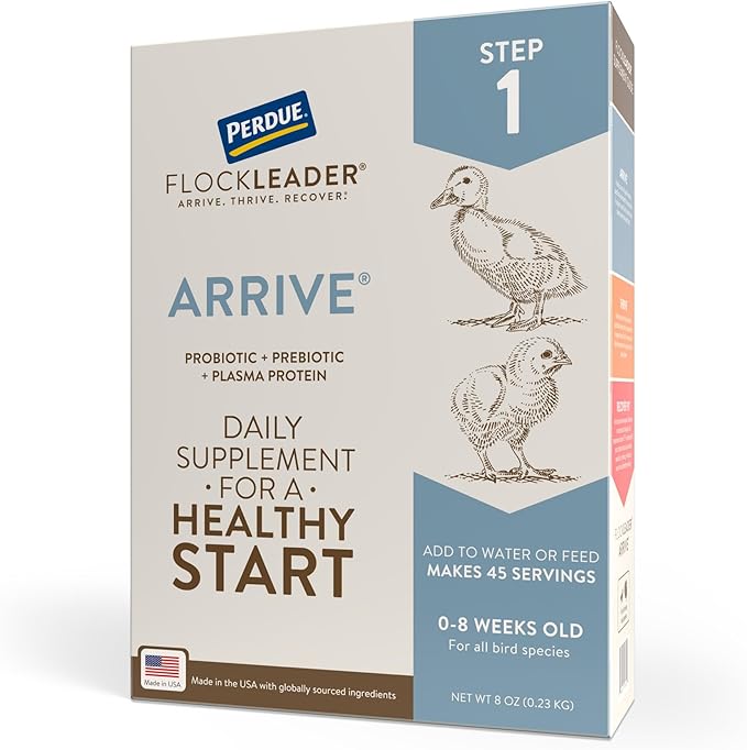 Arrive, Daily Probiotic &amp; Prebiotic Poultry Supplement for Young Chickens 0-8 Weeks Old, 8 oz