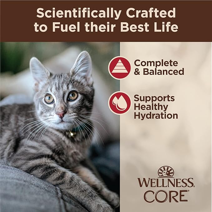 Wellness CORE Tiny Tasters Minced Adult Wet Cat Food, Natural, Protein-Rich, Grain Free, 1.75-Ounce Pouch, 12 Pack, (Chicken &amp; Beef)