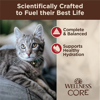 Wellness CORE Tiny Tasters Minced Adult Wet Cat Food, Natural, Protein-Rich, Grain Free, 1.75-Ounce Pouch, 12 Pack, (Chicken &amp; Beef)