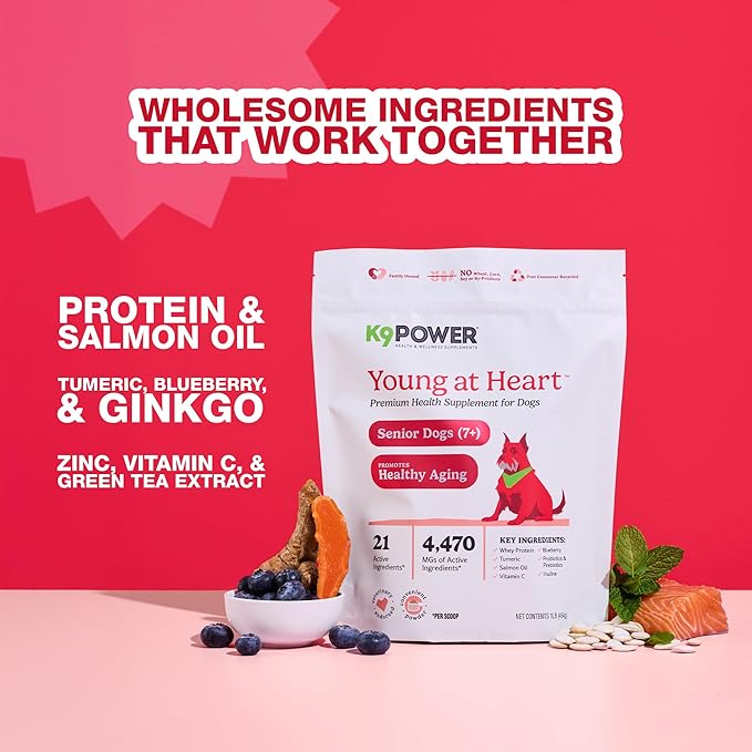 K9 Power Young at Heart Senior Dog Multivitamin 1 lb – Supplement for Brain Heart, Vision &amp; Mobility Support in Senior Dogs - Pack of 2