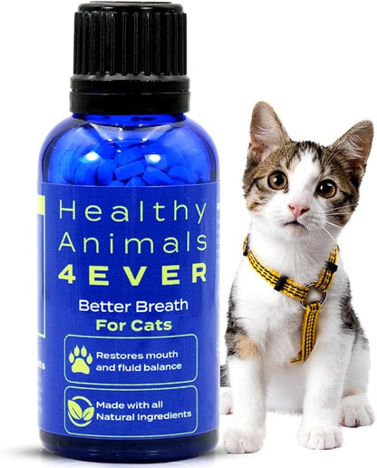 HA4E - Cat Bad Breath Remedy - Promotes Clean Teeth, Plaque &amp; Tartar Control - No Brushing Needed - All-Natural, Non-GMO, Organic, Preservative &amp; Chemical Free - 300 Dissolvable Tablets