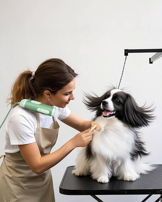 L&amp;W BROS. Hands-Free Dog Dryer – Powerful &amp; Professional Pet Blow Dryer for Small &amp; Medium Dogs &amp; Cats, Adjustable Airflow, Easy Storage, Negative Ion Technology (Green)