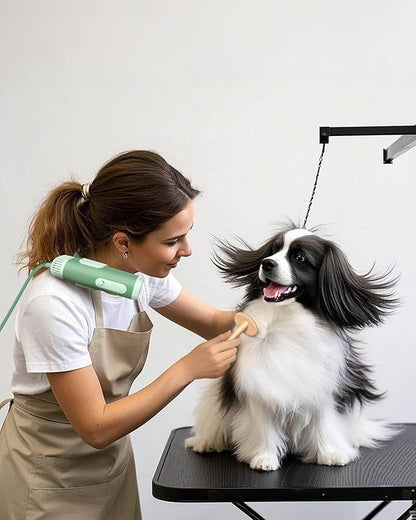 L&amp;W BROS. Hands-Free Dog Dryer – Powerful &amp; Professional Pet Blow Dryer for Small &amp; Medium Dogs &amp; Cats, Adjustable Airflow, Easy Storage, Negative Ion Technology (Green)