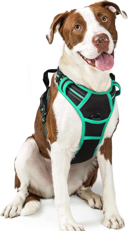 rabbitgoo Dog Harness No Pull with 2 Leash Clips, Adjustable Soft Padded, Reflective Oxford No Choke Pet Vest with Easy Control Handle for Large Dogs, Black &amp; Turquoise, L
