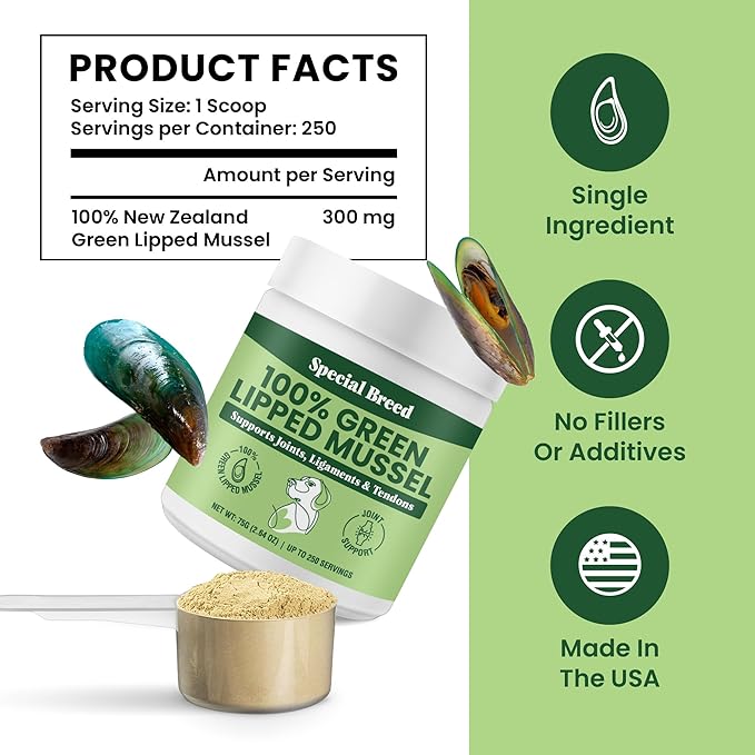 Green Lipped Mussel Powder for Dogs &amp; Cats - 100% New Zealand Green Lipped Mussels - Natural Hip &amp; Joint Supplement for Joints, Tendons, Ligaments, Muscles - 75 Grams - Up to 250 Servings