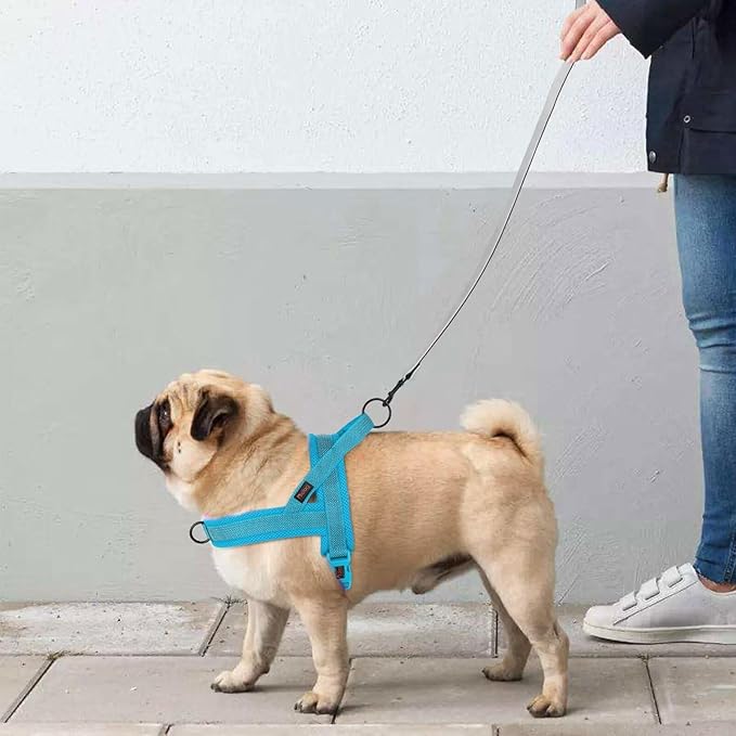 Didog No Pull Dog Harness with Breathable Mesh Padded, Full Reflective &amp; Quick Fit Adjustable Vest Harness, Easy for Training Walking for Small &amp; Medium and Large Dogs (Blue, M:Chest 21-26")
