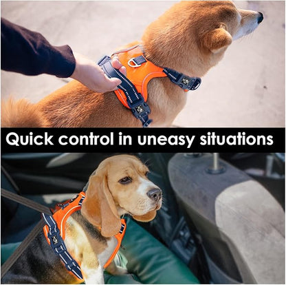 PHOEPET No Pull Dog Harness, Unique Colors Reflective Adjustable Dog Vest, with Soft Training Handle Metal Clips for Small Medium Large Dogs (Orange Base &amp; Blue Straps,XL)