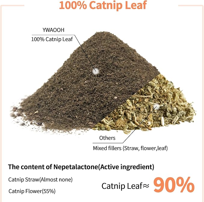 Premium Catnip for Cats &amp; Kittens – Cold-Processed, High Potency Nepetalactone, 100% Pure Leaf-Only Catnip for Toys, Scratchers, Refills, Stimulates Play &amp; Protects Furniture - 10g