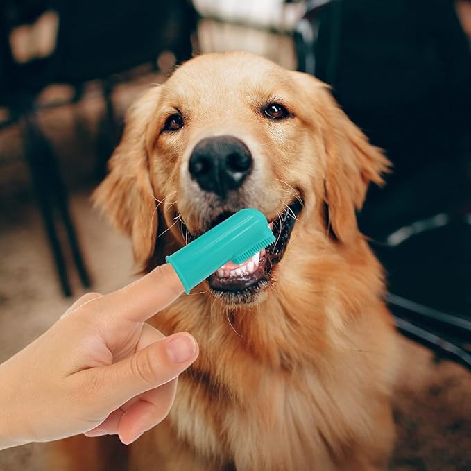 H&amp;H Pets Dog Finger Toothbrushes - Professional Pet Finger Dental Brush Set for Dogs Puppies Cats, Soft Bristles, Size Small 4 Count-Silicon