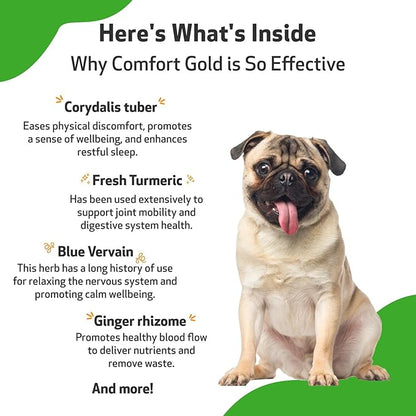 Pet Wellbeing Comfort Gold for Dogs - Supports Canine Physical Comfort, Healthy Circulation, Corydalis, Turmeric - Veterinarian-Formulated Herbal Supplement 2 oz (59 ml)