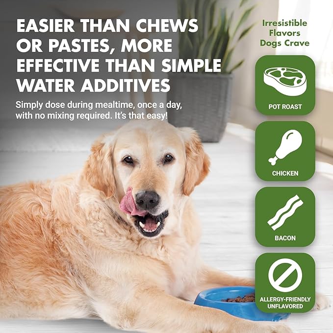 K9 Hip &amp; Joint Formula, Chicken Flavor, 16 oz (Pack of 4)