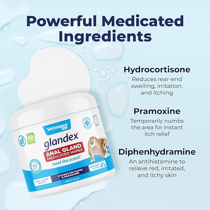 Vetnique Glandex Medicated Dog Butt Wipes or Spray for Dog Scooting - Topical Anti Itch Skin Relief for Soothing Inflamed Anal Glands in Dogs &amp; Cats - Fast Acting Formula 50ct (50ct Wipes)