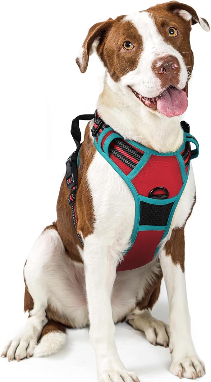 rabbitgoo Dog Harness No Pull with 2 Leash Clips, Adjustable Soft Padded, Reflective Oxford No Choke Pet Vest with Easy Control Handle for Large Dogs, Red &amp; Teal, L