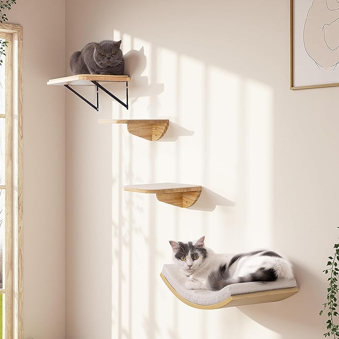 Cat Wall Shelf &amp; Window Perch Combo, Wood Cats Wall Furniture with Soft Foam Curved Bed and Felt-Padded Steps, 4-Piece Floating Cat Climbing System