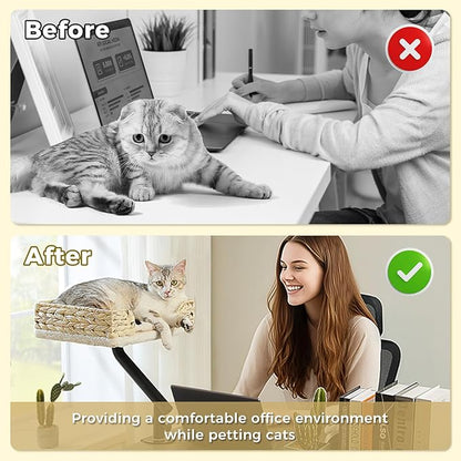 PAWZ Road Cat Desk Bed for Indoor Cats, Wicker Cat Bed for Desk Supports Up to 50 lbs, 360° Rotation &amp; Adjustable Soft Plush Cats Hammock for Desktop, White