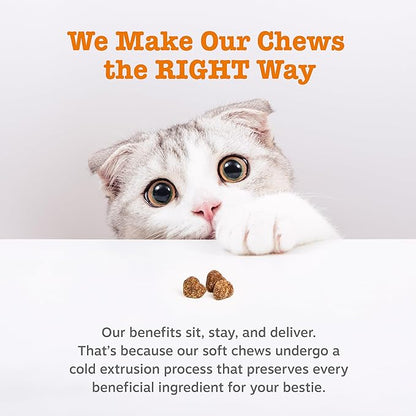 Zesty Paws Hairball Bites for Cats - Cat Furball Support - Functional Supplement with Omega 3 Fish Oil EPA &amp; DHA + Zinc, Biotin &amp; Psyllium Husk - Supports Gut &amp; Skin Health - 60 Count