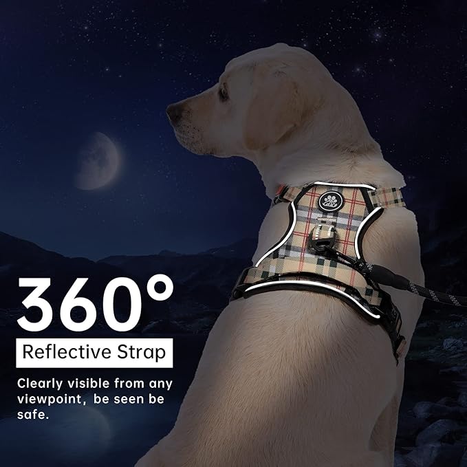 IVY&amp;LANE No Pull Dog Harness with Leash Set, Reflective No Choke Pet Vest,Adjustable Oxford Dog Vest Harness with Easy Control Handle for Small Dogs (Checkered Beige,S)