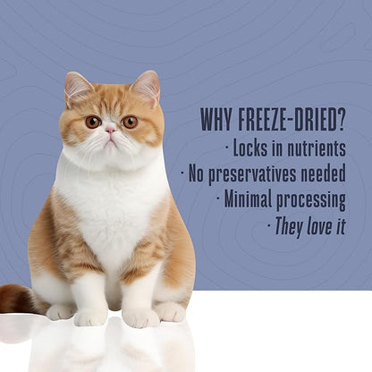 Whole Life Cat Just One Turkey Freeze Dried Cat Treats - Human Grade High Protein Food, Healthy Training Snacks, Freeze Dried Turkey Food Toppers, USA Made Natural Treats - 8 oz (Pack of 1)