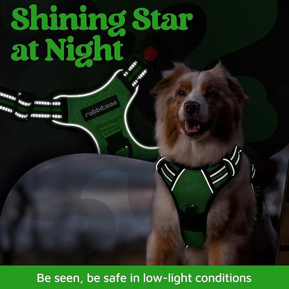 rabbitgoo Dog Harness Small Sized, No Pull Dog Vest with 3 Buckles, Adjustable Soft Padded Pet Harness with Easy Control Handle and Reflective Strips, Green, S