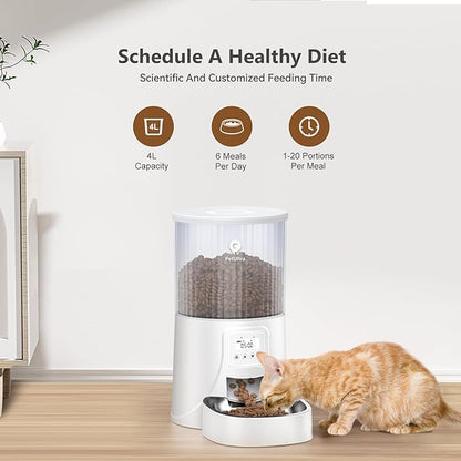 Automatic Cat Feeder: 4L Timed Cats Food Dispenser Programmable 1-6 Meal for Cat and Small Medium Dog- Auto Pet Feeder Dual Power Supply with Stainless Steel&amp; | Detachable Washable White