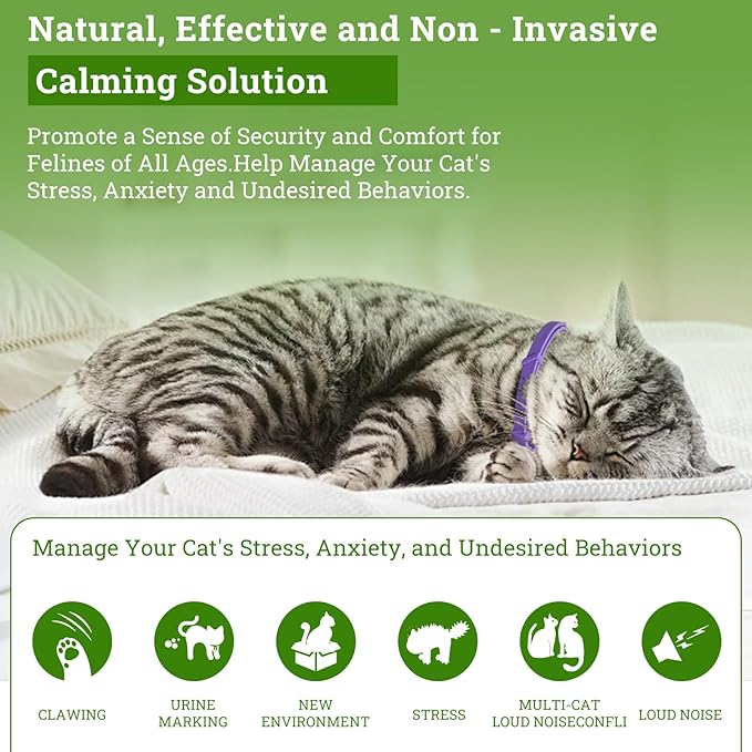 2 Diffusers&amp; 6 Refills +2pcs Calming Collar Cat Calming Diffuser, Plug in Diffuser Cat Pheromone Calming Diffuser Starter Kit Helps Ruduce Anxious, Anti-Stress &amp; Comforts Cats
