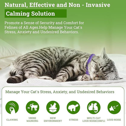 2 Diffusers&amp; 6 Refills +2pcs Calming Collar Cat Calming Diffuser, Plug in Diffuser Cat Pheromone Calming Diffuser Starter Kit Helps Ruduce Anxious, Anti-Stress &amp; Comforts Cats