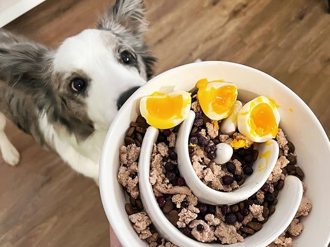 Slow Feeder Dog Bowl - 1.5 Cups Ceramic Puzzle Feeder for Small &amp; Medium Breeds, Maze Design Bowl for Puppy &amp; Fast Eaters, White Pet Dish to Control Eating Speed