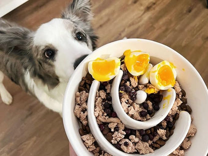 Slow Feeder Dog Bowl - 1.5 Cups Ceramic Puzzle Feeder for Small &amp; Medium Breeds, Maze Design Bowl for Puppy &amp; Fast Eaters, White Pet Dish to Control Eating Speed