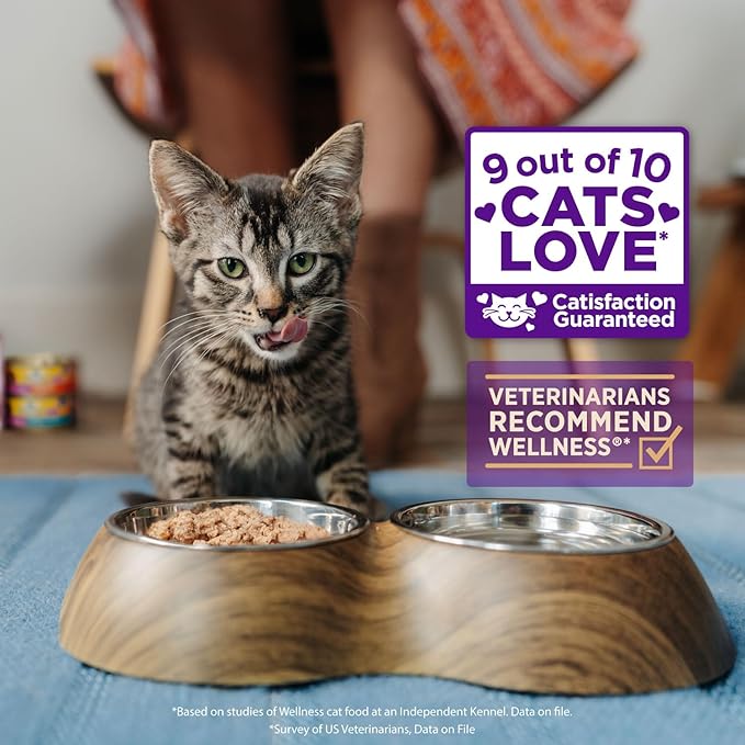 Wellness Healthy Indulgence Gravy Adult Wet Cat Food, Natural, Protein-Rich, Grain Free, 3 Ounce Pouch, 24 Pack, (Tuna &amp; Mackerel)