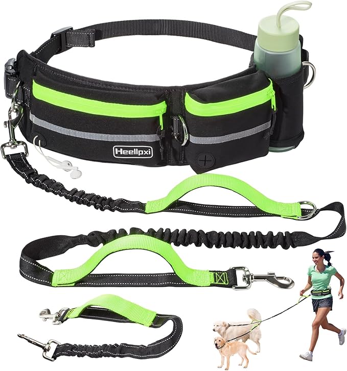 Hands-Free Waist Leash with Pouch for Two Dogs: Reflective Stitching, Dual Handle &amp; Bungee Retractable Design – Ideal for Medium to Large Dogs (Green) – Dog Walking Accessories