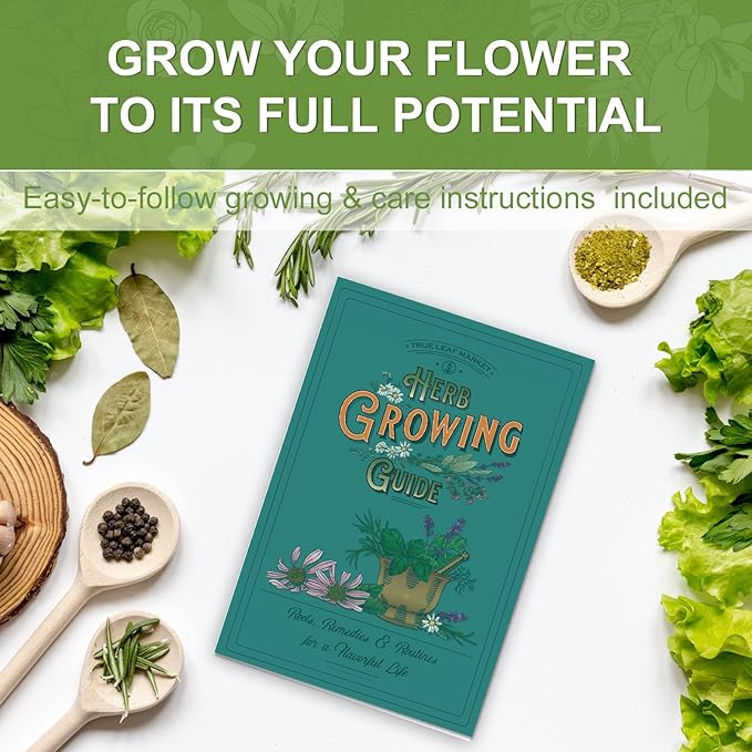 5 Herb Seeds Garden Starter Kit with Complete Planting Kit &amp; Wooden Flower Box, Growing into Basil, Parsley, Rosemary, Thyme, Mint for Kitchen Windowsill Herb Garden DIY