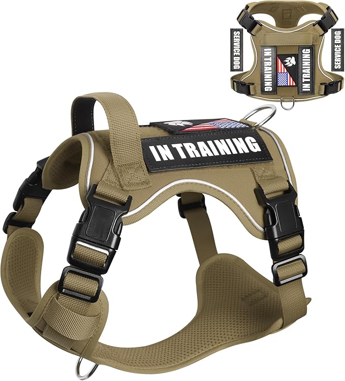WINSEE Service Dog in Training Harness with 5 PCS Patches, Reflective Tactical Dog Vest Harness, Adjustable Soft Oxford Pet Harness with Easy Control Handle, Hook &amp; Loop Panels for Walking Hiking
