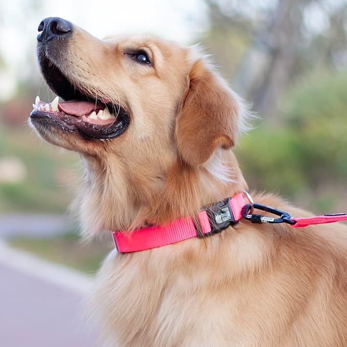 Hyhug Small Dog Collar Quick-Release Pink| Heavy-Duty Nylon Puppy Collar, Adjustable &amp; Durable Pet Supplies for Boy &amp; Girl Dogs (Small, Candy Pink)