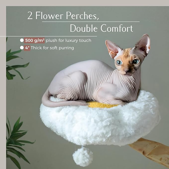 PAWZ Road Cat Tree for Indoor Cats Large Adults, 59 Inches Modern Cat Tower with Large Basket and Hammock, Natural Solid Wood, Luxury Condo &amp; Dual Perches, Modern Cat Furniture for Big Cats, White