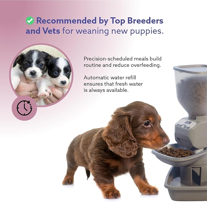 Automatic Dog &amp; Cat Food Feeder with Water Dispenser – Smart Pet Feeder with Portion Control, OLED Display, Anti Jam Design, Battery Operated Dispenser for Small Pets - Taupe