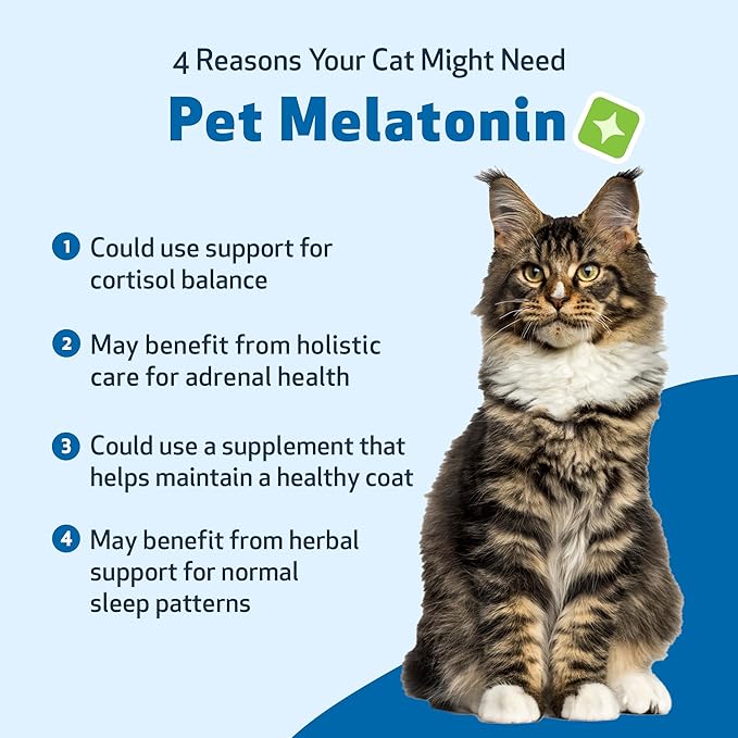 Pet Wellbeing Pet Melatonin for Cats - Supports Adrenal &amp; Thyroid Health, Cortisol Balance, Helps Maintain Normal Sleep Patterns - Veterinarian-Formulated Liquid Supplement 2 fl oz (59 ml)