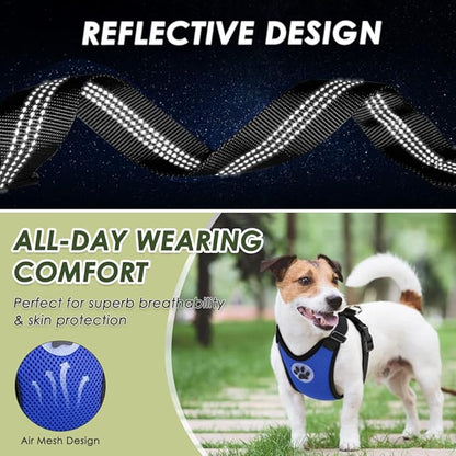 SlowTon Dog Seat Belt Harness for Car, Dog Car Harness Adjustable Mesh Breathable &amp; Dog Seatbelt Safety Tether with Elastic Bungee for Small Medium Large Pets(Blue, Double Clip, S)