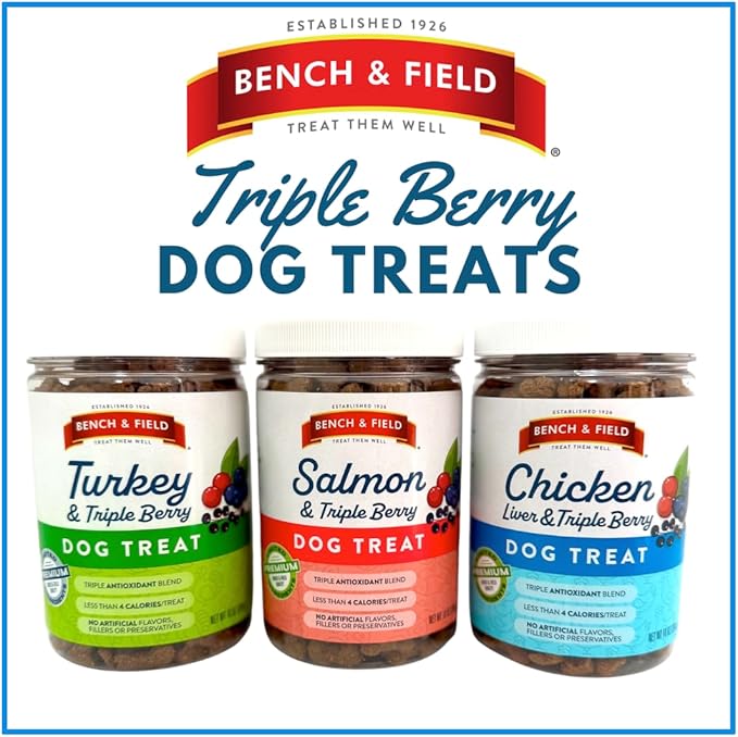 Bench &amp; Field Holistic Natural Salmon &amp; Triple Berry Dog Treats | Crunchy Bone-Shaped Bites | Antioxidant Blend, 10-Ounce Bottle