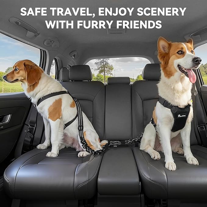 Pawaboo 2Pack Dog Seatbelt for Car, 3-in-1 Dog Car Seat Belt Bungee,Shockproof Dogs Tether for Car with Buckle &amp; Hook Latch, Adjustable Reflective Dog Car Harness Leash with 360° Lockable Buckle,Black