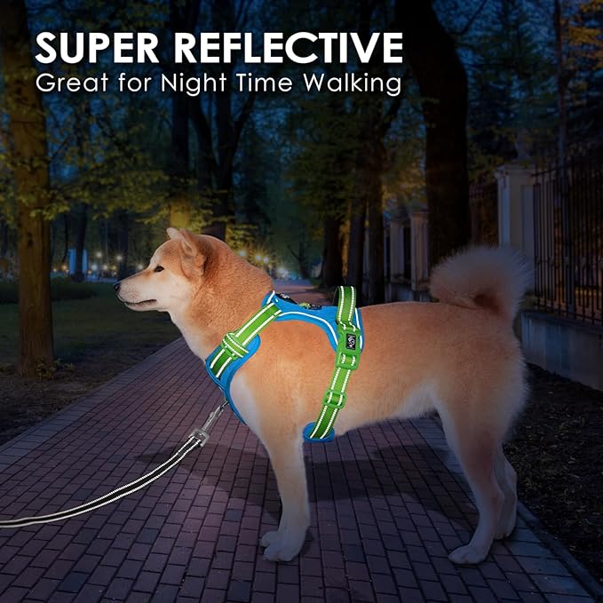 PHOEPET No Pull Dog Harness, Unique Colors Reflective Adjustable Dog Vest, with Soft Training Handle Metal Clips for Small Medium Large Dogs (Blue Base &amp; Green Straps,XL)