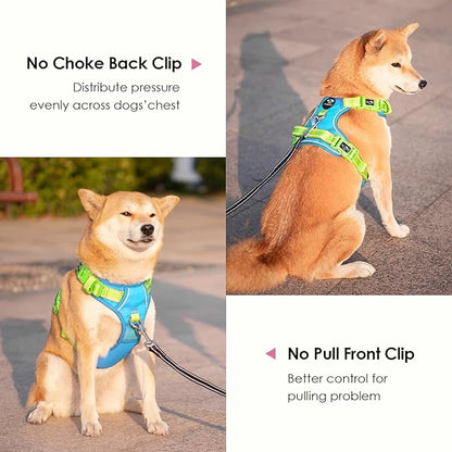 PHOEPET No Pull Dog Harness, Unique Colors Reflective Adjustable Dog Vest, with Soft Training Handle Metal Clips for Small Medium Large Dogs (Blue Base &amp; Green Straps,S)